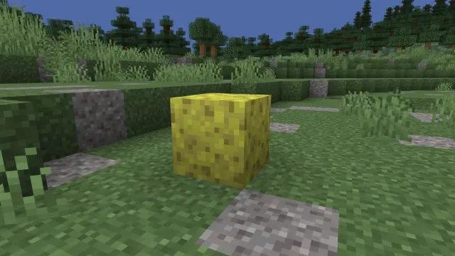 A sponge bastion block